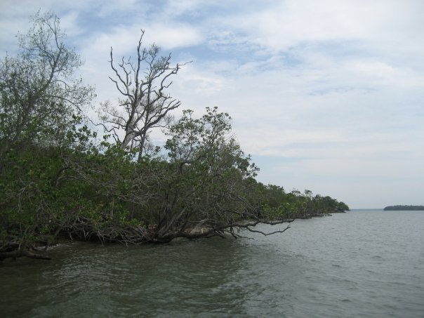 Aurukun Days 71