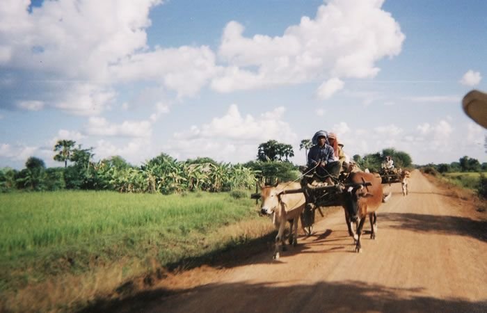 Cambodia 08