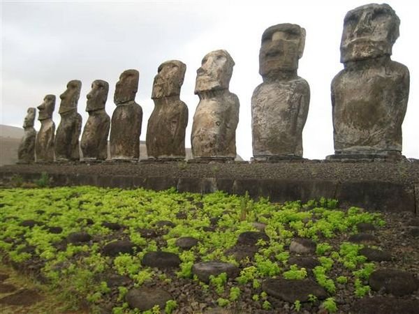 Easter Island  436