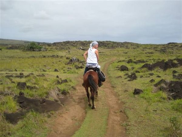 Easter Island  557