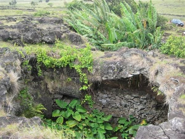 Easter Island  559