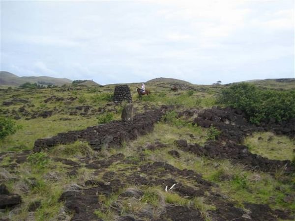 Easter Island  568