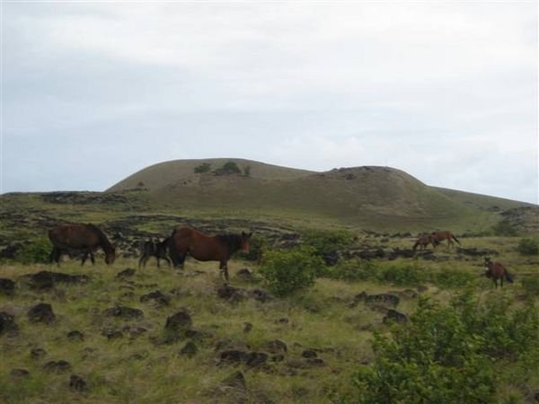 Easter Island  573