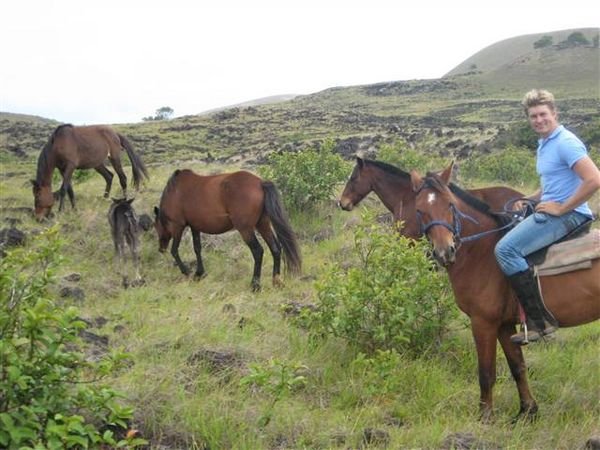 Easter Island  580