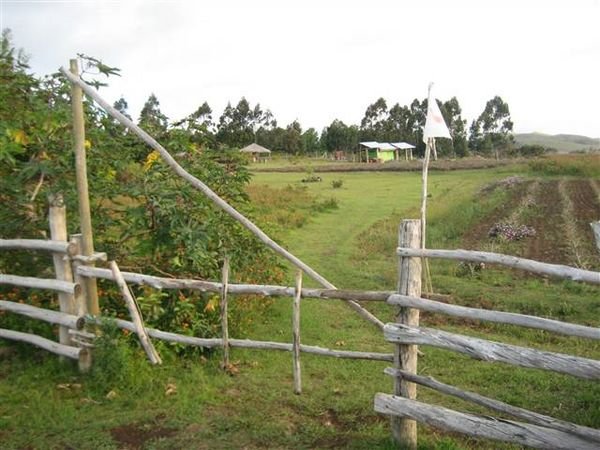 Easter Island  709