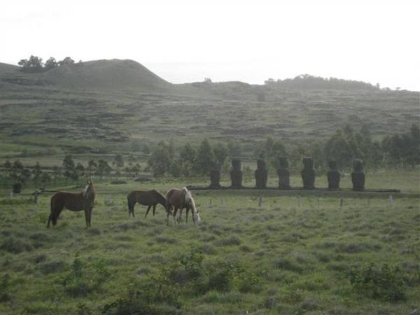 Easter Island  724