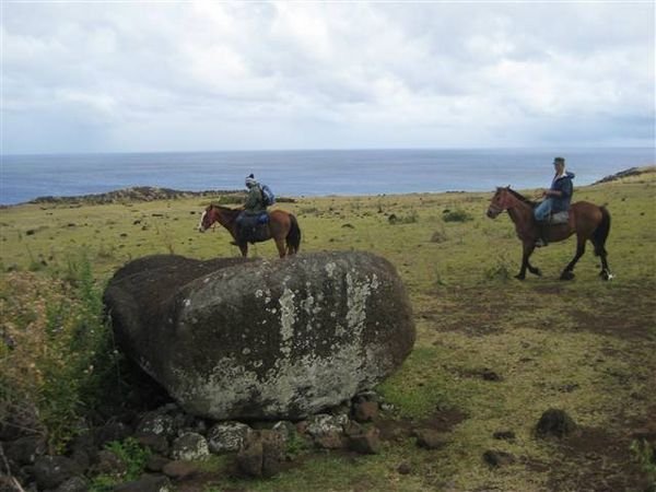 Easter Island  784