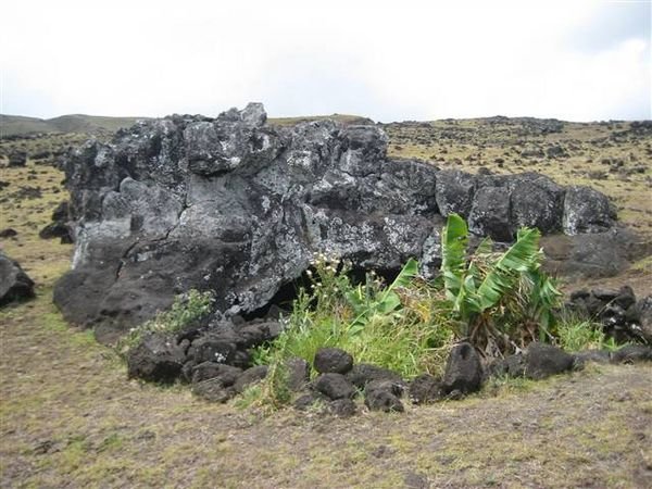 Easter Island  813