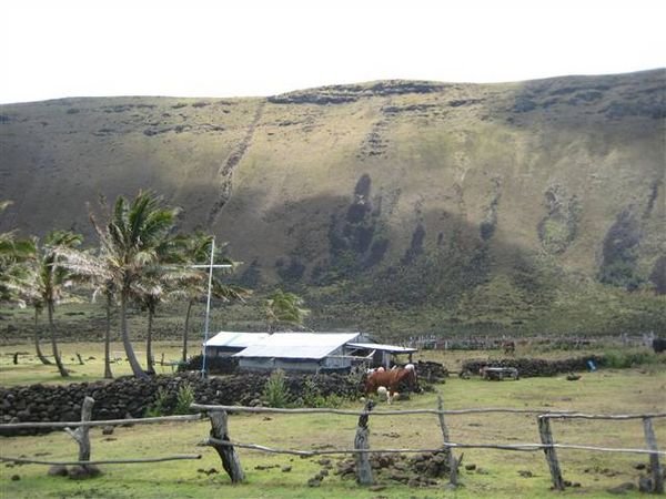 Easter Island  823