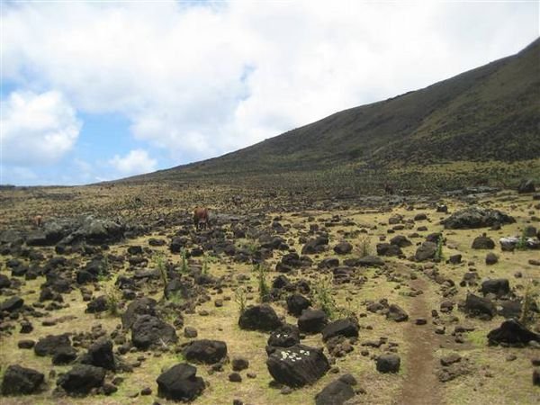 Easter Island  825