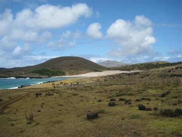 Easter Island  830