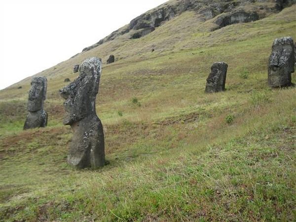 Easter Island 313