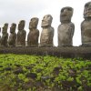 Easter Island  436