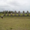 Easter Island  591