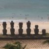 Easter Island  855