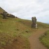 Easter Island 314