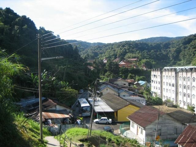 Cameron_Highlands_78