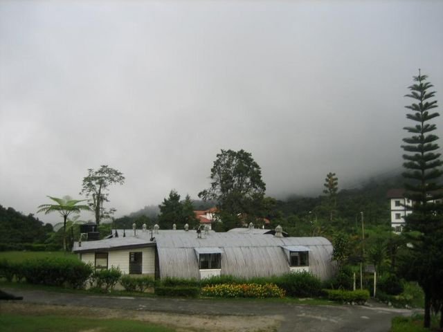 Cameron_Highlands_88