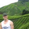 Cameron_Highlands_42