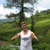 Cameron_Highlands_46