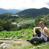 Cameron_Highlands_56