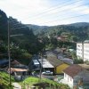 Cameron_Highlands_78