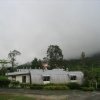 Cameron_Highlands_88