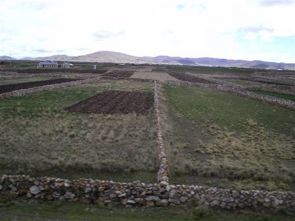 Border_Crossing 567