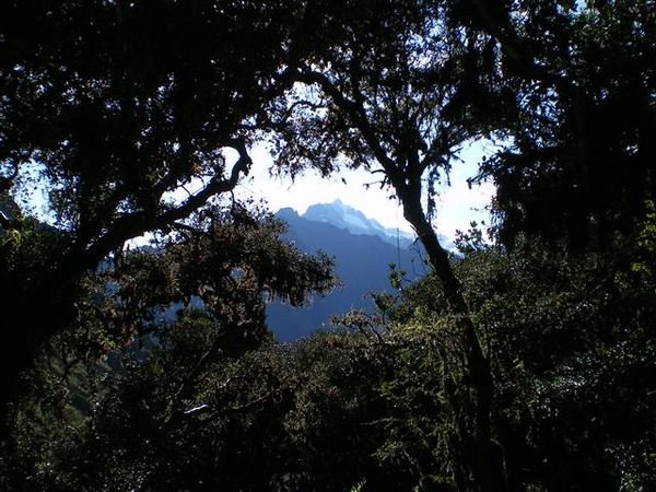 Inca Trail 099