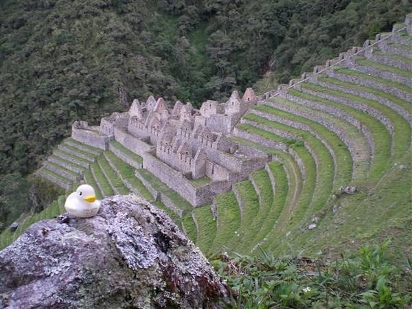 Inca Trail 222