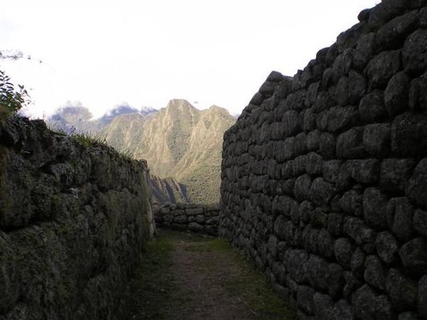 Inca Trail 239