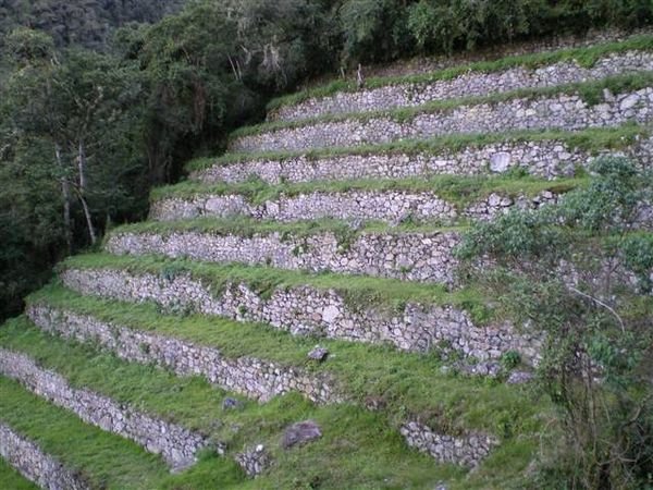 Inca Trail 242