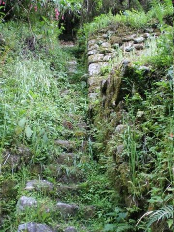 Inca Trail 243