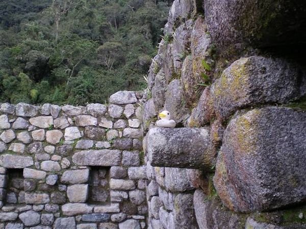 Inca Trail 247