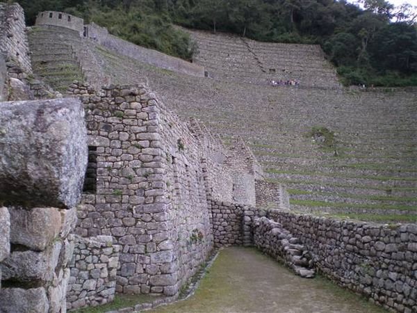 Inca Trail 264