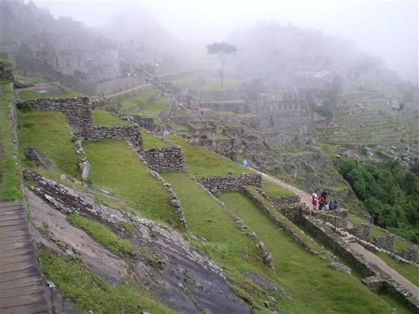 Inca Trail 296