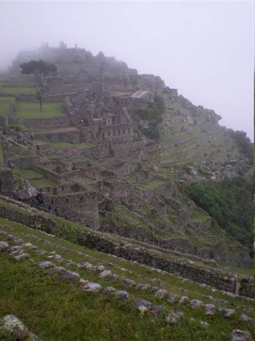 Inca Trail 303