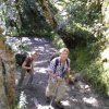 Inca Trail 098