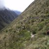 Inca Trail 110