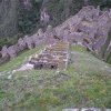 Inca Trail 228