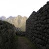 Inca Trail 239