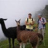 Inca Trail 285