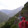 Inca Trail 381