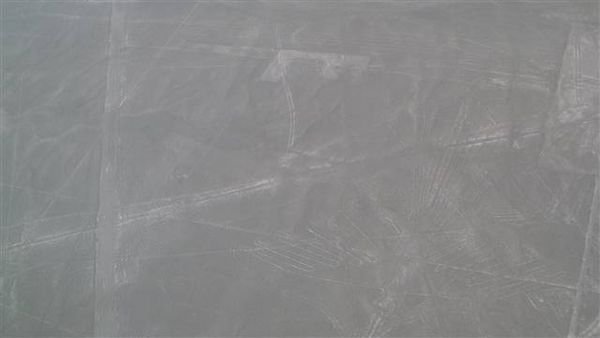 Nasca 491