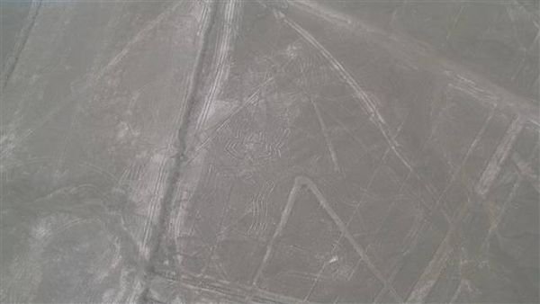 Nasca 494