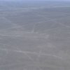 Nasca 496