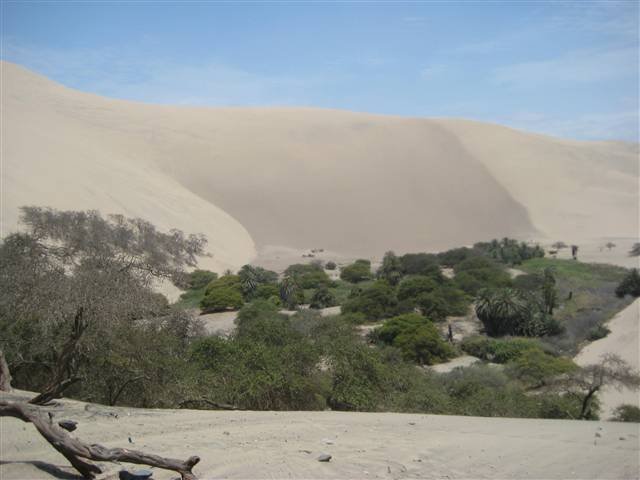 Peru Sand Dunes 3379