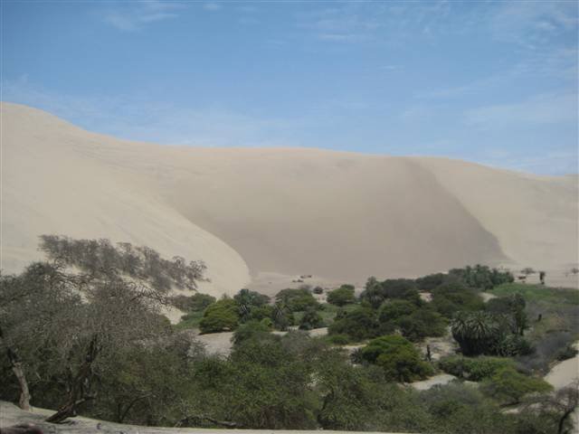 Peru Sand Dunes 3381