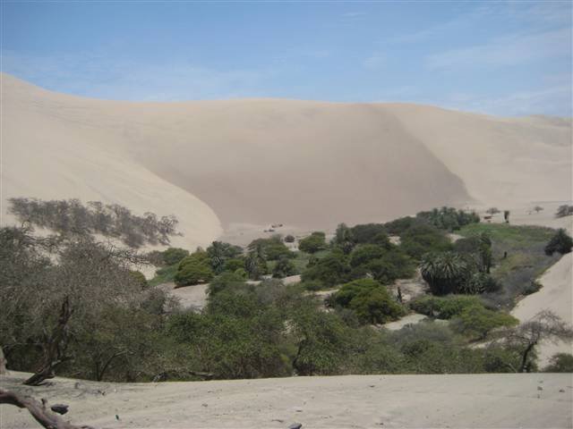 Peru Sand Dunes 3382