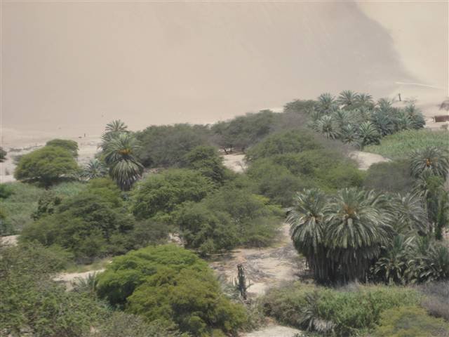 Peru Sand Dunes 3383